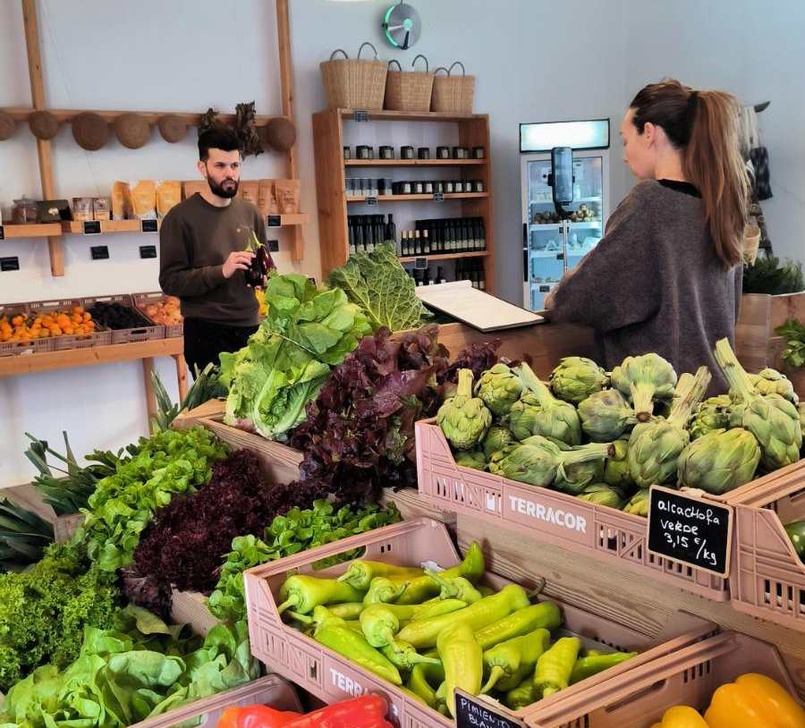 Tomàtiga, carabassa, enciam i albergínia, els productes estrella que el Pla promociona
