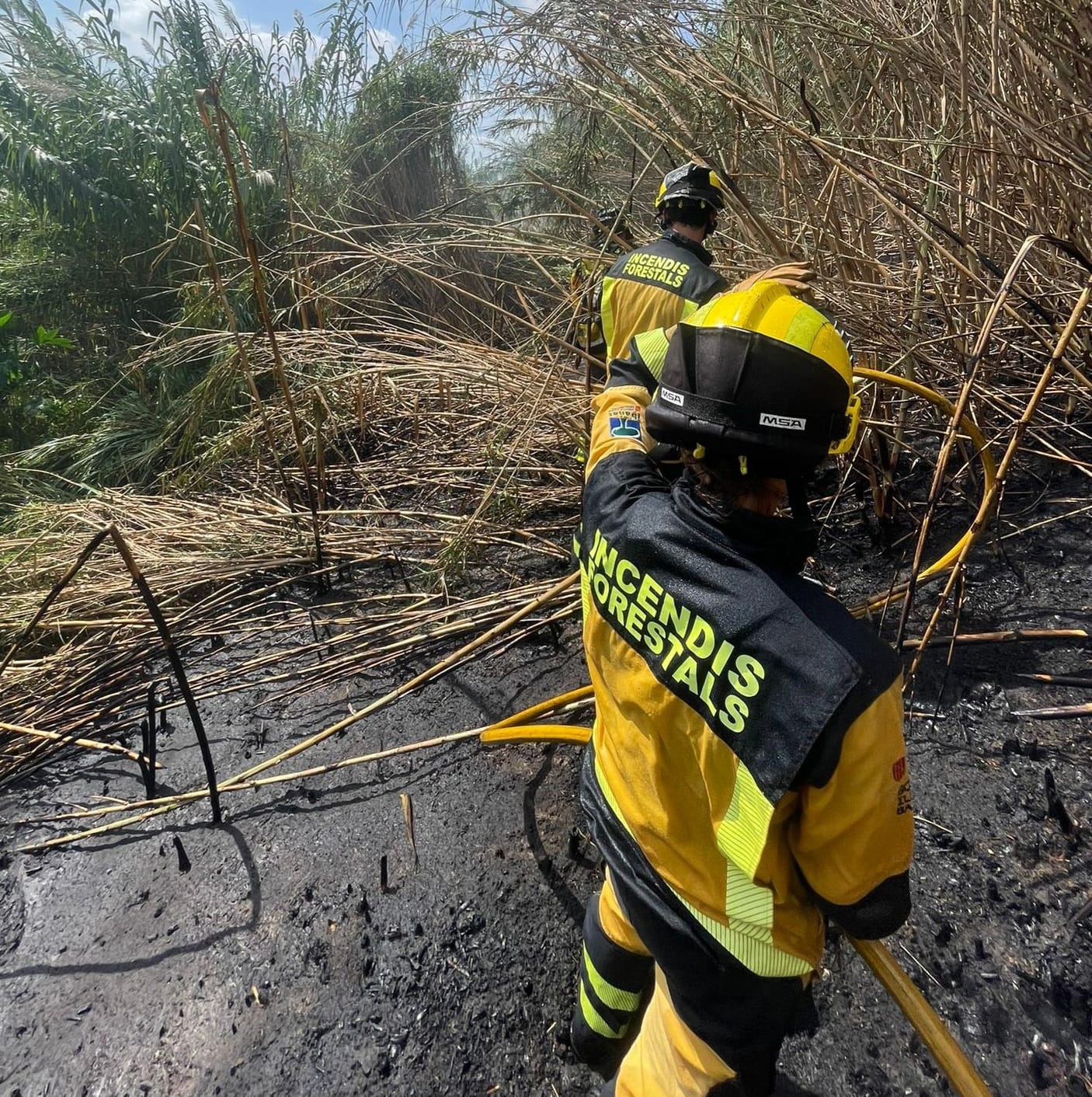 Tanca 2025 com el segon any amb menys superfície cremada dels darrers 50 anys