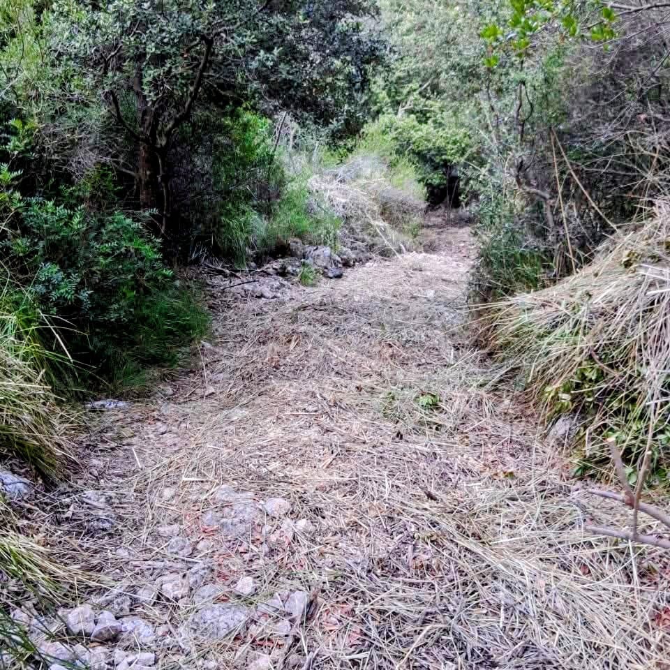 Bunyola restringeix el pas de bicicletes a dos camins de sa Comuna per evitar les erosions
