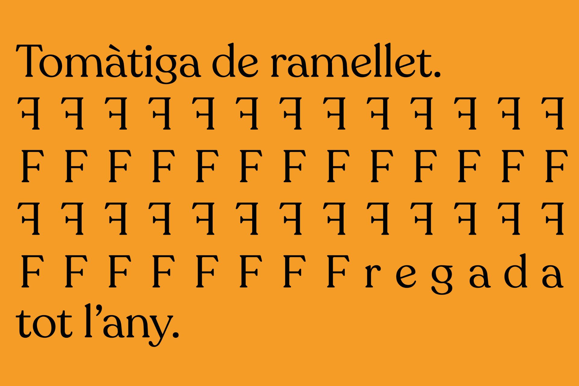 L’Associació de Varietats Locals posa en marxa una campanya per reconèixer la tomàtiga de ramellet