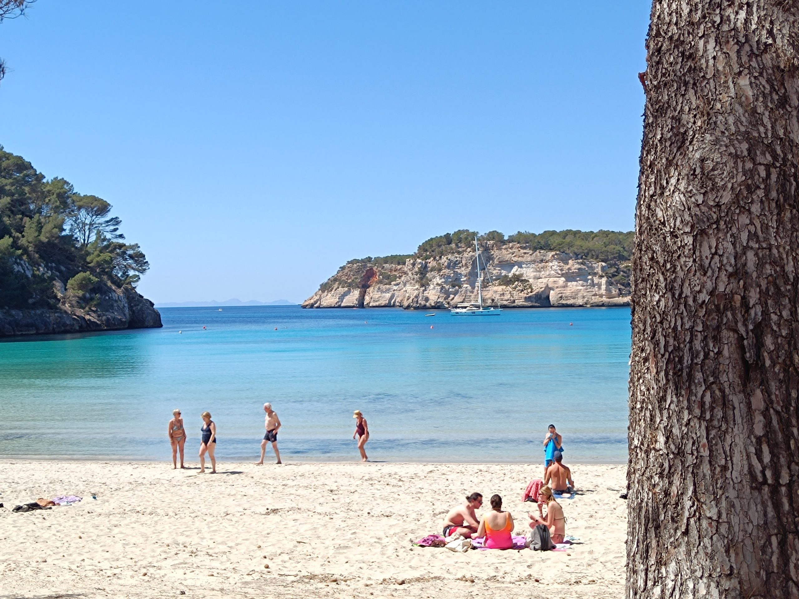 El nombre d’incidències per contaminació microbiològica a les platges de les Illes Balears s’ha duplicat entre 2024 i 2025, passant de 46 a 92 episodis, segons el nou capítol sobre platges de l’Informe Mar Balear 2026. L’estudi adverteix d’un empitjorament progressiu de la qualitat de les aigües de bany i d’un augment de la pressió humana i nàutica, especialment visible a Menorca, l’única illa on es monitoritzen de manera sistemàtica els usos de les platges i les embarcacions fondejades. Dels 92 episodis registrats el 2025, 20 varen comportar la prohibició del bany i 72 la recomanació de no banyar-s’hi. Els municipis més afectats per aquests casos de contaminació fecal varen ser Sóller, Santanyí, Calvià i Ciutadella. Entre 2020 i 2025 s’han comptabilitzat 396 incidències: 313 de recomanació de no bany, 82 de prohibició i una en què posteriorment es va declarar l’aigua apta. Onze municipis han tengut incidències tots els anys del període analitzat, entre els quals hi ha Santanyí, Calvià, Palma, Ciutadella, Pollença, Manacor, Llucmajor i Alcúdia. L’informe també reflecteix una evolució negativa de la qualitat de les aigües des del 2010: disminueixen les qualificacions d’“excel·lent” i augmenten les de “bona”, amb pitjors resultats a les platges urbanes. El 2025, un 70 % de les platges de Balears varen obtenir la qualificació d’excel·lent. Formentera i Menorca destaquen amb els millors valors (100 % i 80 % de platges amb qualitat excel·lent, respectivament), mentre que Eivissa presenta més punts per davall d’aquesta categoria. Tots els punts amb qualitat insuficient detectats el 2025 es varen localitzar a Mallorca, concretament a Albercuix (Pollença) i Cala Egos (Santanyí). Un altre aspecte destacat és que els mostrejos microbiològics només es realitzen durant l’estiu, coincidint amb la temporada alta turística, fet que deixa fora del sistema oficial de control la qualitat de l’aigua la resta de l’any. Pel que fa a l’ús de les platges, Menorca concentra les dades disponibles sobre pressió humana. Entre 2018 i 2024, el nombre d’usuaris ha augmentat un 10 % i el percentatge de platges que superen els 1.000 usuaris diaris ha passat del 14 % al 17 %. Els anys 2023 i 2024, les platges urbanes han estat les que han acumulat més banyistes i també les que disposen de menys espai per persona. El 2024, un 17 % de les platges presentaven densitats molt altes, amb menys de 5 metres quadrats per usuari. Les dades de capacitat de càrrega mostren que, des de 2018, la majoria de platges se situen per damunt del límit òptim del 100 %. El 2024, un 36 % superaven aquest llindar, especialment platges verges amb serveis. Algunes d’aquestes localitzacions registren nivells molt elevats de pressió, com Macarelleta (575,5 %), Cala en Turqueta (424,7 %), Cala Mitjana (371,3 %), Es Talaier (311,2 %) o Macarella (203,3 %). La pressió nàutica també ha crescut de manera notable. En els darrers cinc anys, el nombre d’embarcacions fondejades diàriament a les platges de Menorca durant l’estiu ha augmentat un 48 %. Les platges verges amb serveis són les que suporten una càrrega més elevada: entre 2018 i 2023, la mitjana d’embarcacions diàries en aquests espais ha crescut un 68 %, fins a situar-se en 26,4 embarcacions de mitjana el 2024, davant les 14,2 de les platges urbanes. El màxim registrat va ser de 142 embarcacions en una mateixa platja l’any 2023, a la zona de Vall-es Bot i es Tancats, tot i que el canvi metodològic aplicat el 2024 impedeix comparacions directes. Segons l’informe, l’augment de les embarcacions fondejades, vinculat en part a l’oferta de lloguer recreatiu, comporta riscos ambientals com la degradació d’hàbitats per l’efecte de les àncores, la contaminació de les aigües i l’increment del renou submarí. L’estudi subratlla la necessitat d’ampliar a la resta d’illes els sistemes de seguiment d’usuaris i embarcacions per millorar la gestió de les zones de bany, avaluar l’impacte sobre els ecosistemes marins i garantir la seguretat de banyistes i navegants. El capítol “Platges” de l’Informe Mar Balear 2026 descriu aquests espais com a sistemes fràgils, sotmesos a una pressió creixent i amb una qualitat de l’aigua que mostra signes de deteriorament, en un context en què el litoral continua essent un dels principals actius ecològics i turístics de les Illes Balears.