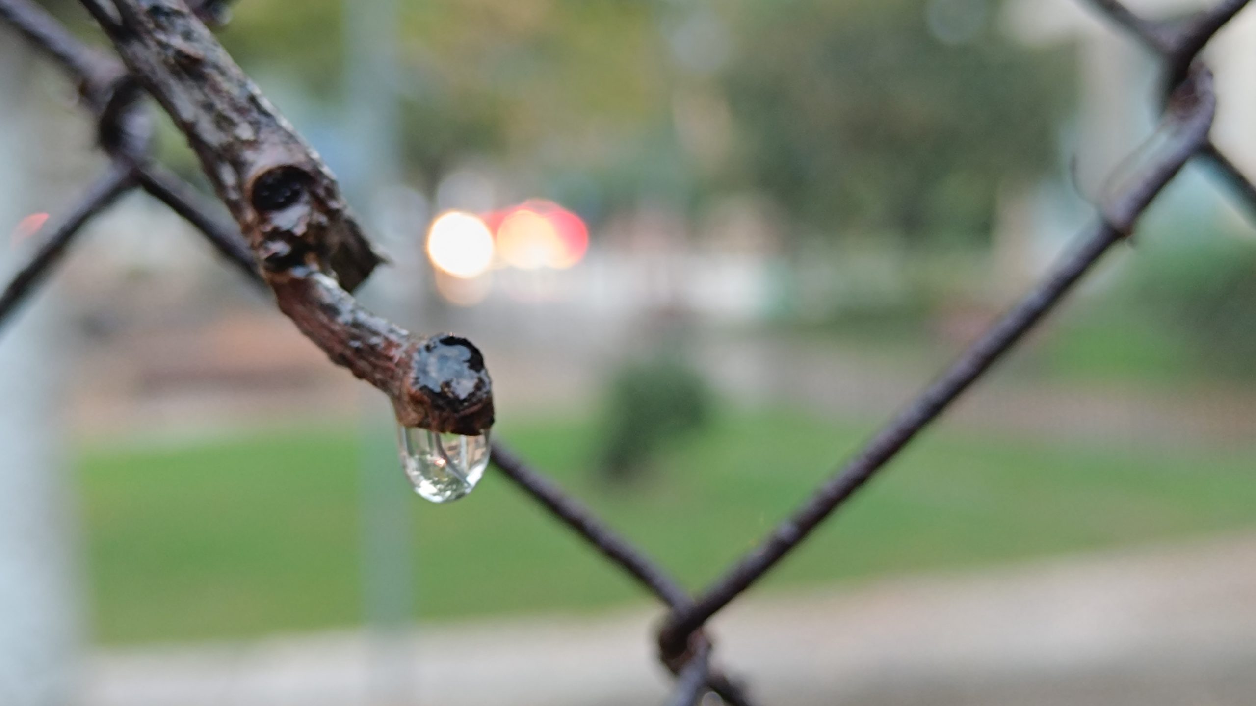 Desembre, un mes plujós a les Illes Balears i el desè més càlid des de 1961