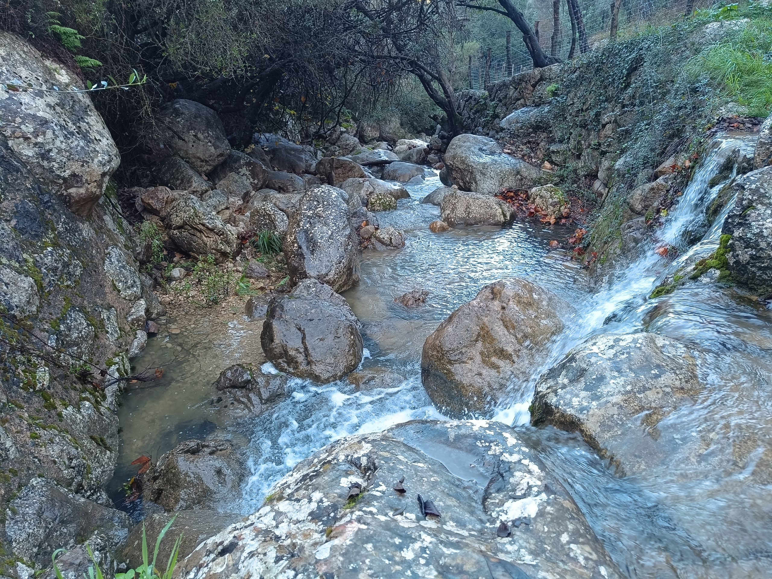 Desembre molt càlid i més plujós de l’habitual a les Balears, segons l’AEMET