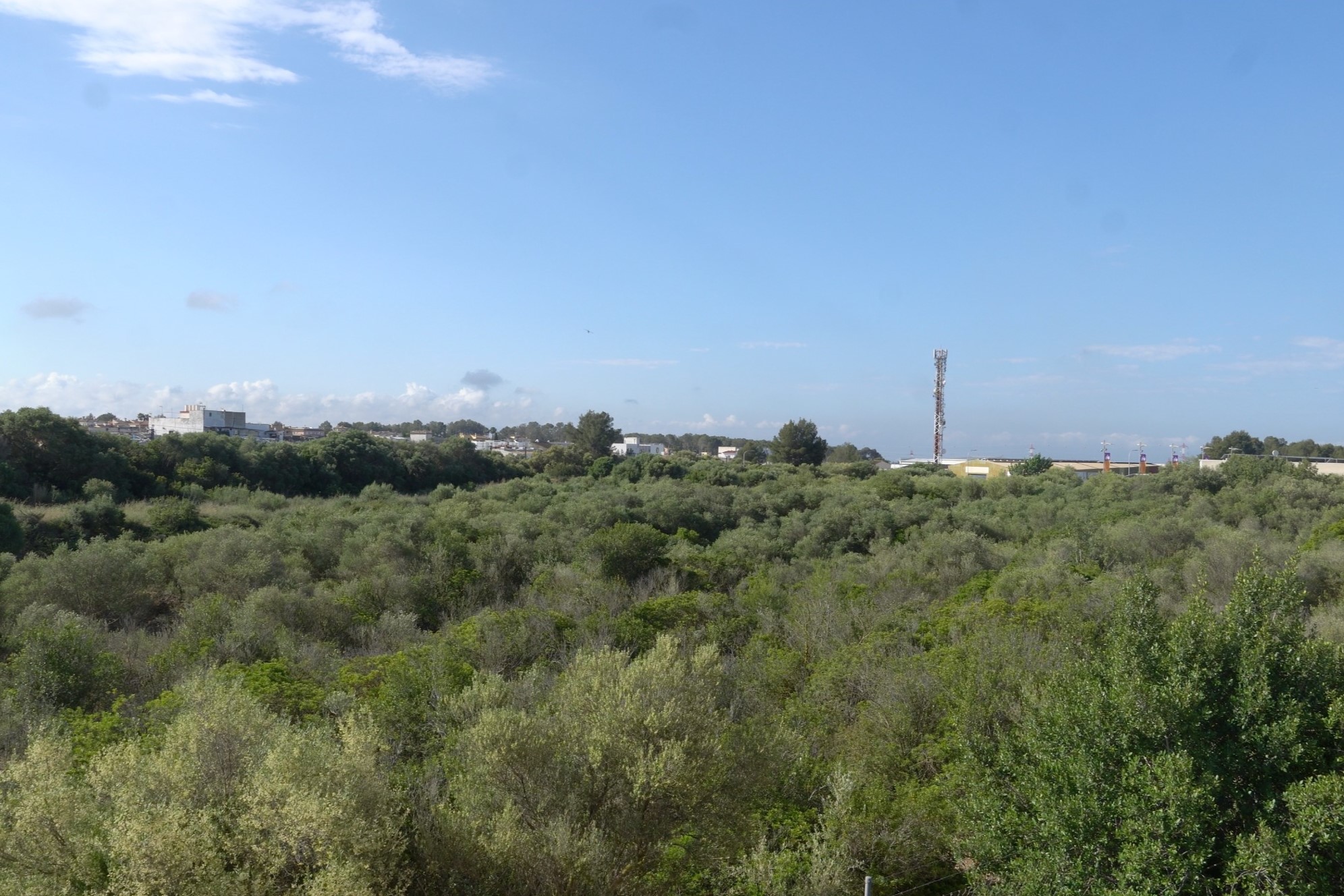 Marratxí inicia la creació d’una Via Verda i millora paisatgística al polígon industrial