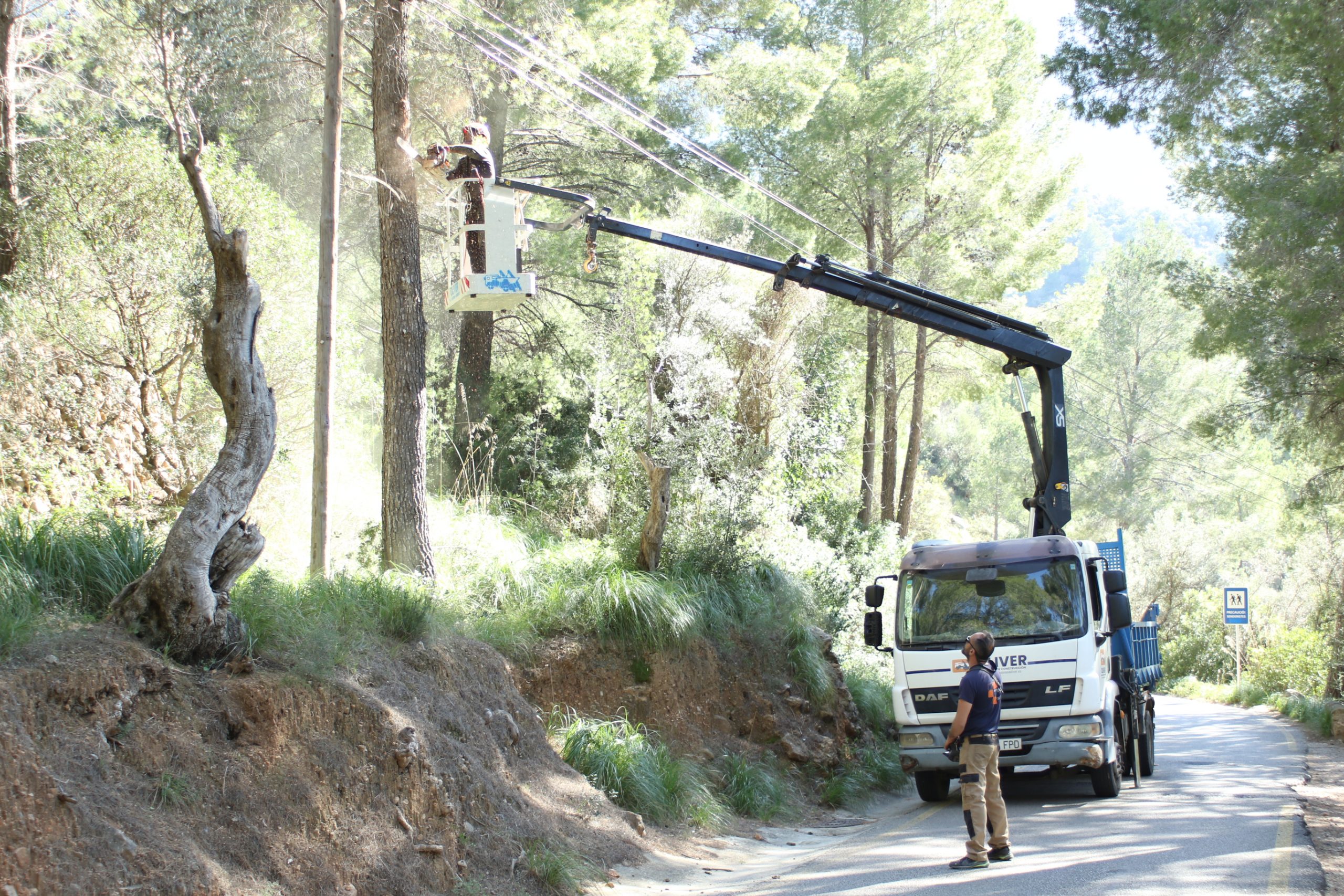Regenera Deià aconsegueix 200.000 euros de veïnats i empreses per regenerar el territori i evitar incendis