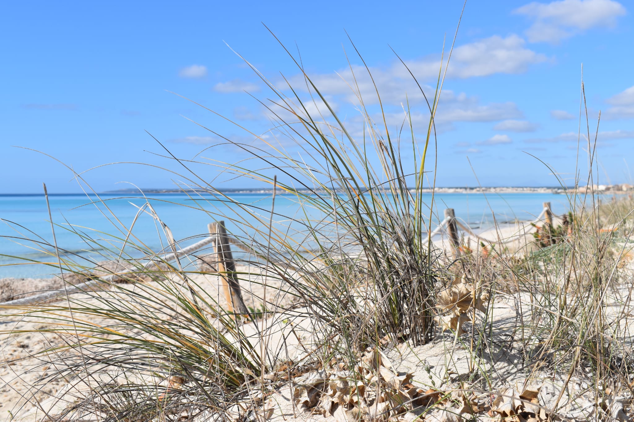 En marxa l'actualització dels plans d'Es Trenc i de la Xarxa 2000 del nord d'Eivissa