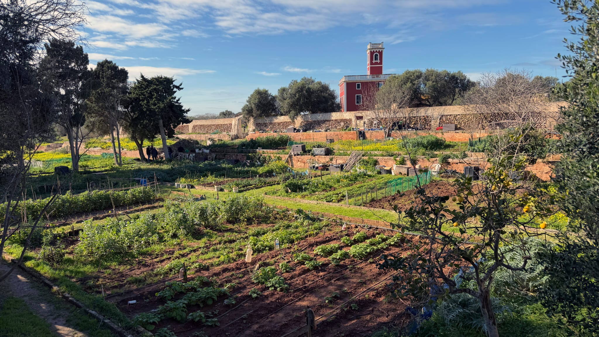 Ciutadella adjudica 13 horts urbans de sa Vinyeta a jubilats