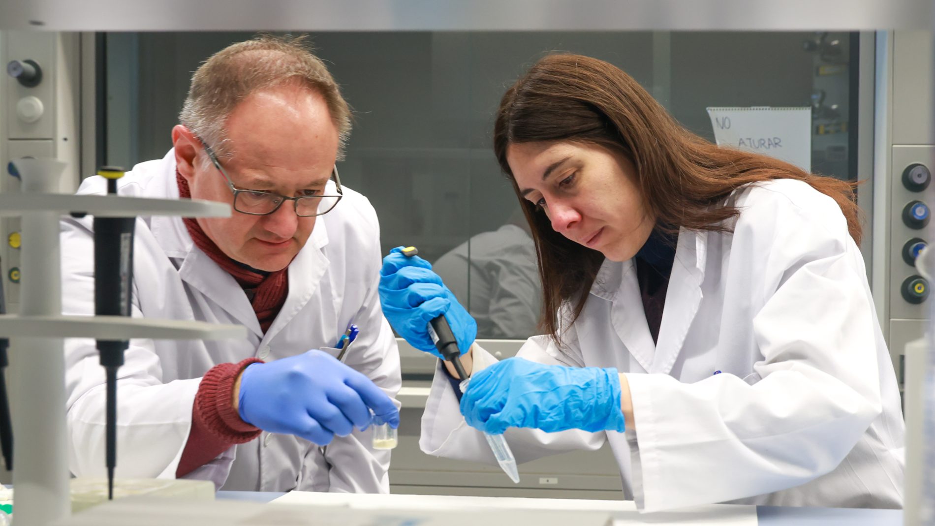 Investigadors de la UIB: "Els microplàstics no són només un problema ambiental, sinó que poden afectar la salut"