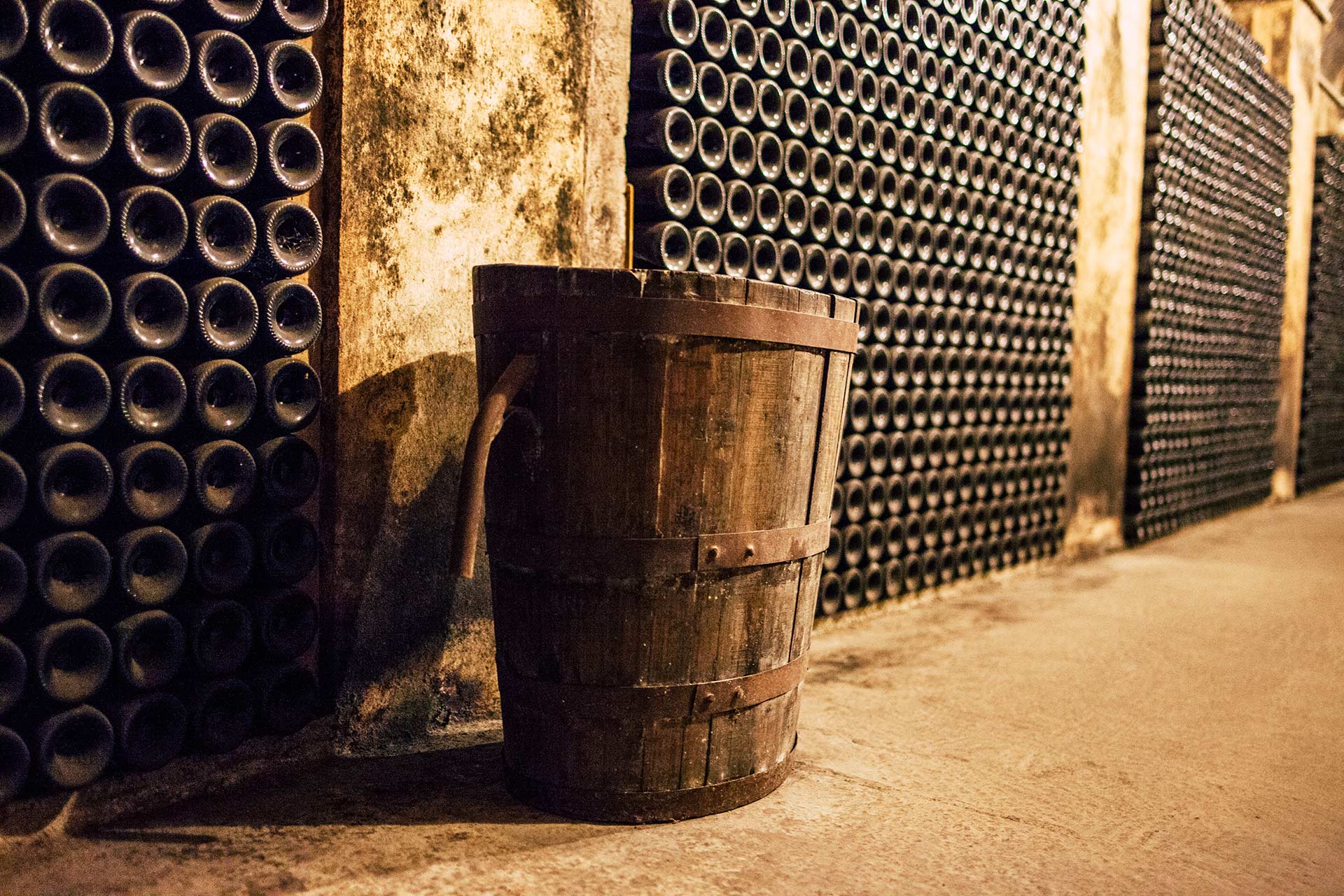 La DO Binissalem explica el nou Plec de Condicions que ha de servir per reforçar la identitat del seu vi