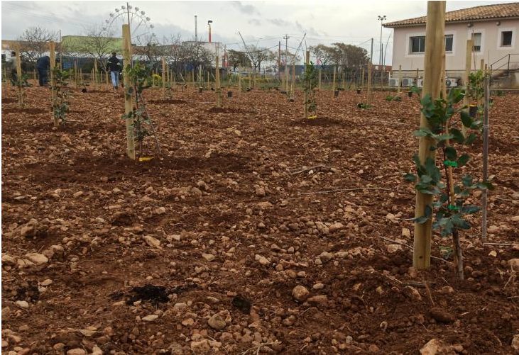 L'IFRAP cerca una finca de 48 hectàrees per dedicar-la a l'experimentació agrària