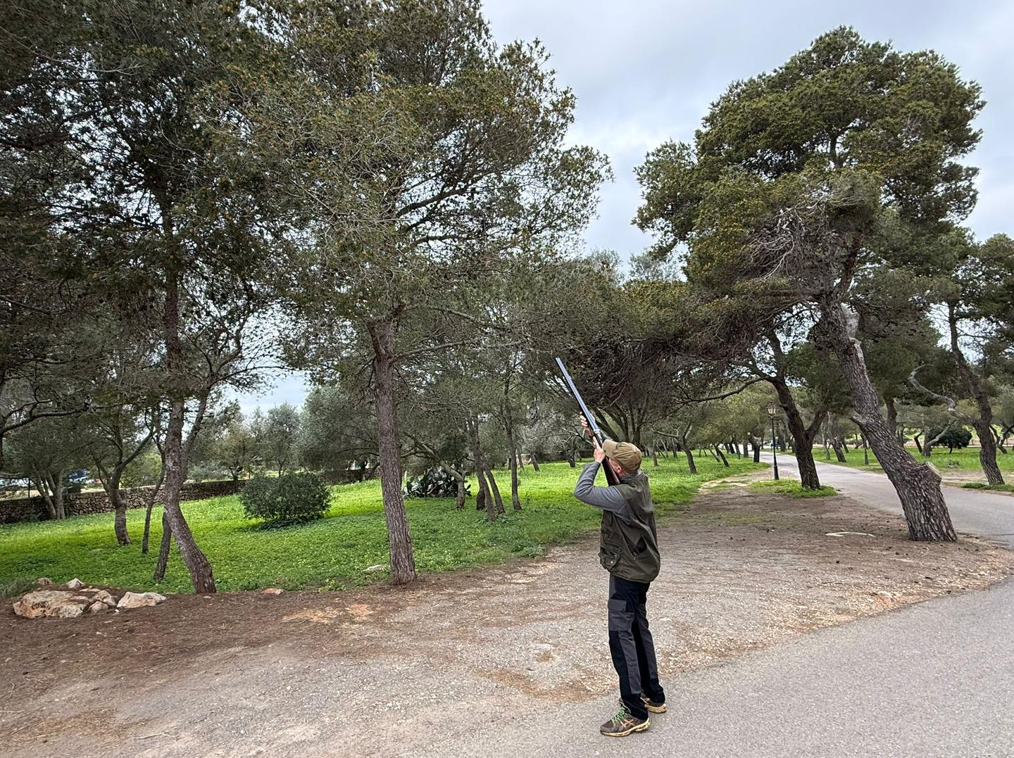 Caçadors contra la plaga de la processionària del pi