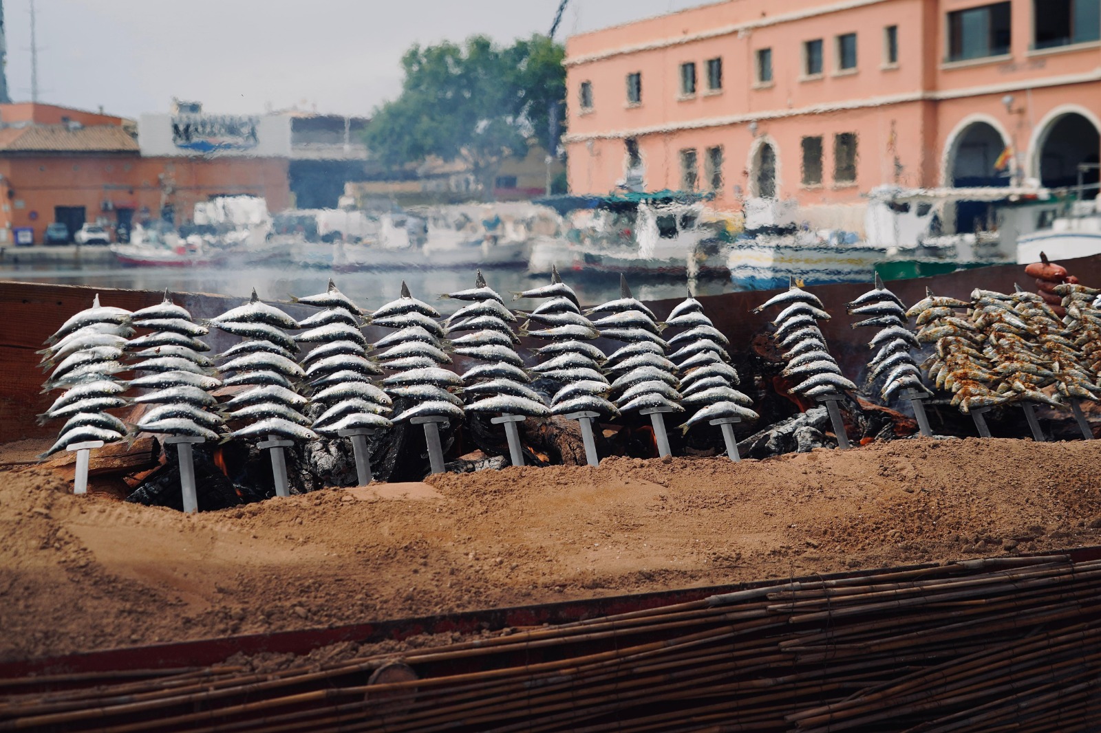 Palma declara d’interès públic la II Fira de la Sardina i reforça el producte pesquer local
