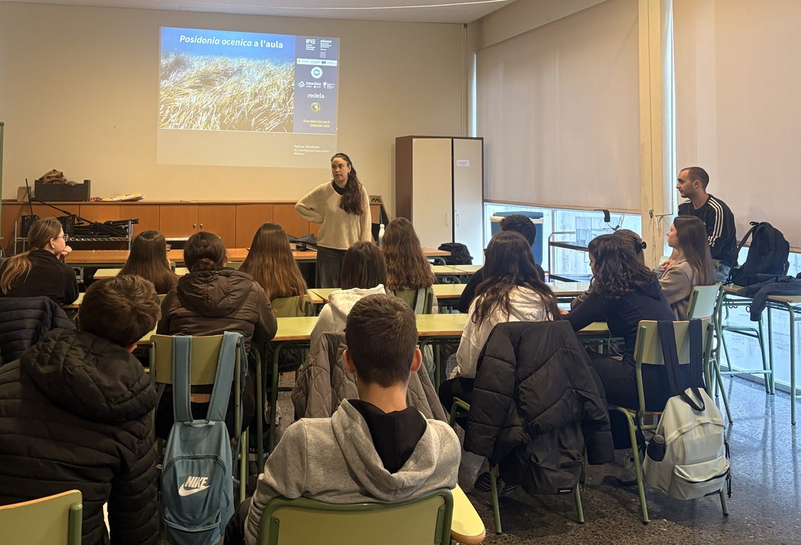 La posidònia entra a les aules de Menorca per fomentar la consciència ambiental