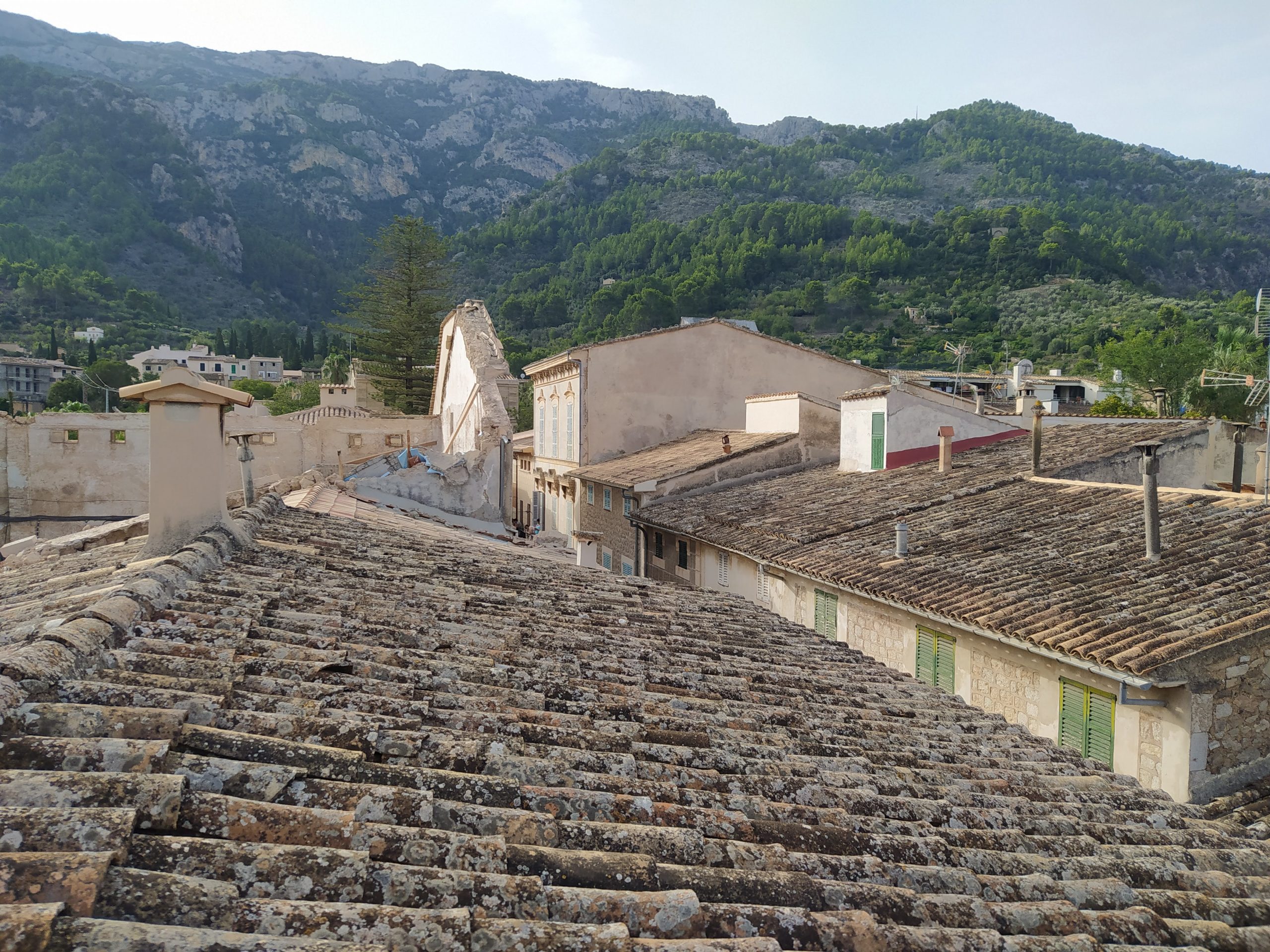 Biomassa: una oportunitat per sostenir les teuleres davant l'augment de preu del combustible