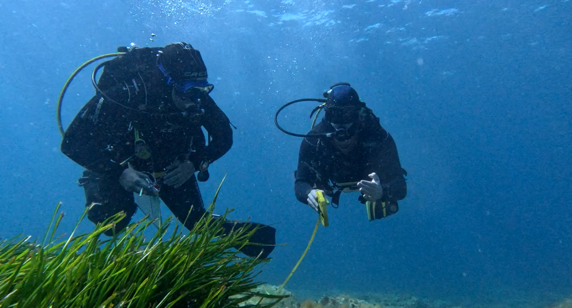 Turisme i navegació, principals fonts de residus al fons marí balear segons un estudi pilot