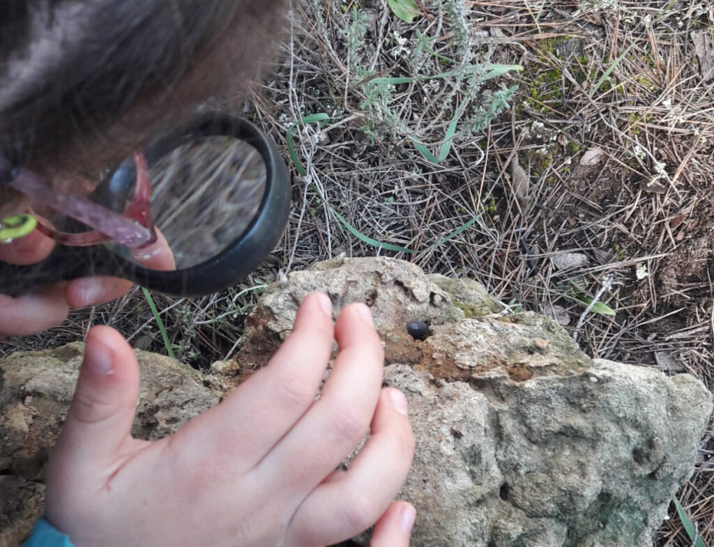 Infants que tenen por de seure en terra: perquè al GOB veim imprescindible fer educació ambiental