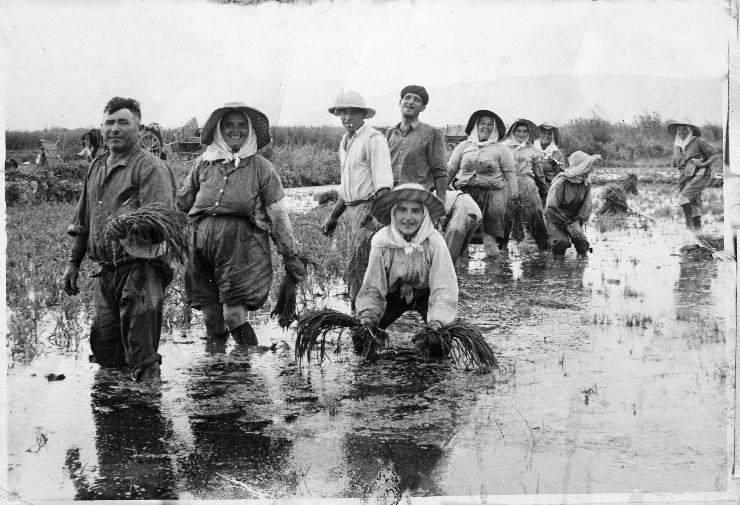 S’Albufera, vell rebost de sa Pobla