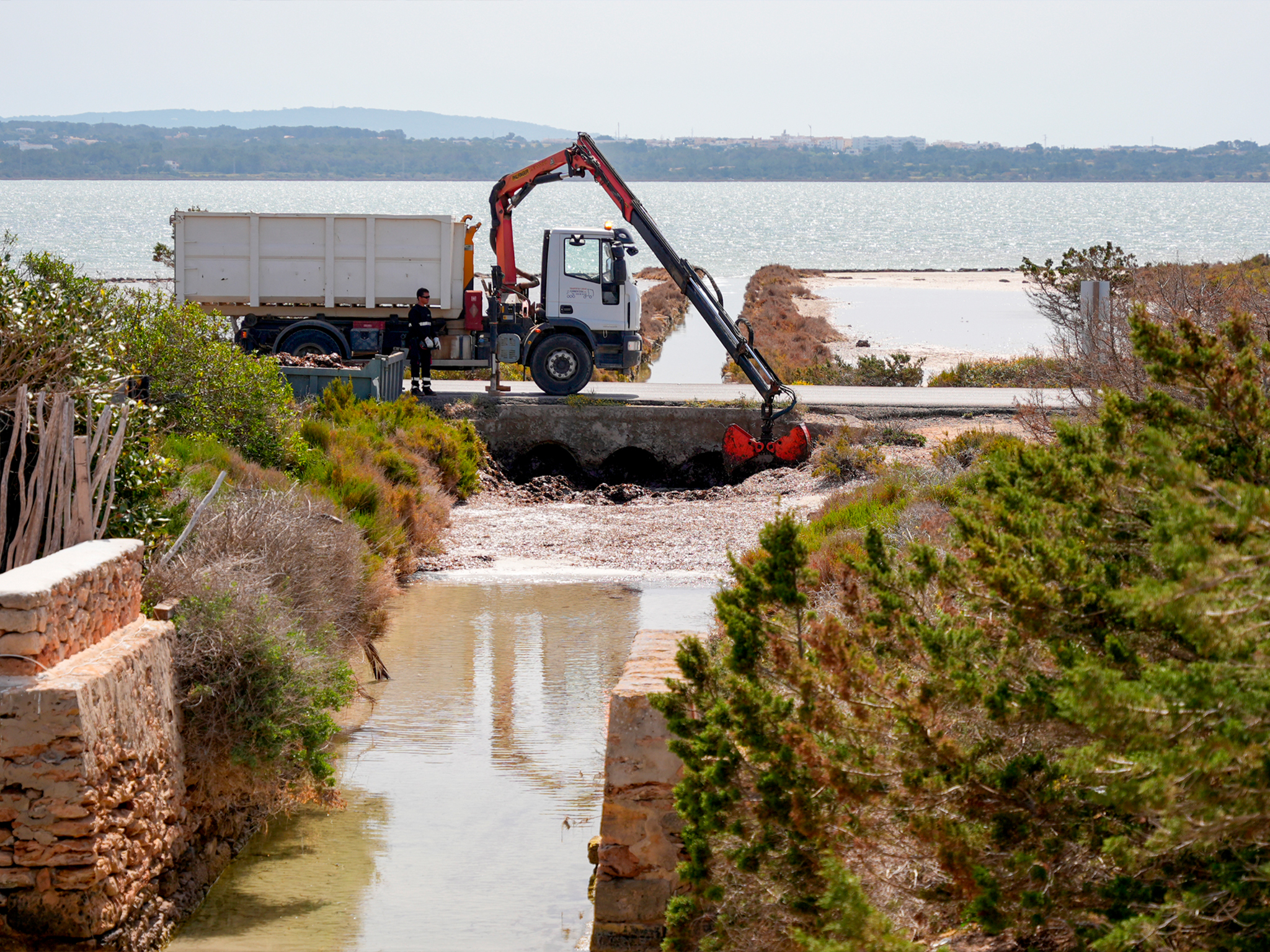 Formentera retira 60 metres cúbics d'alga a s'Estany Pudent