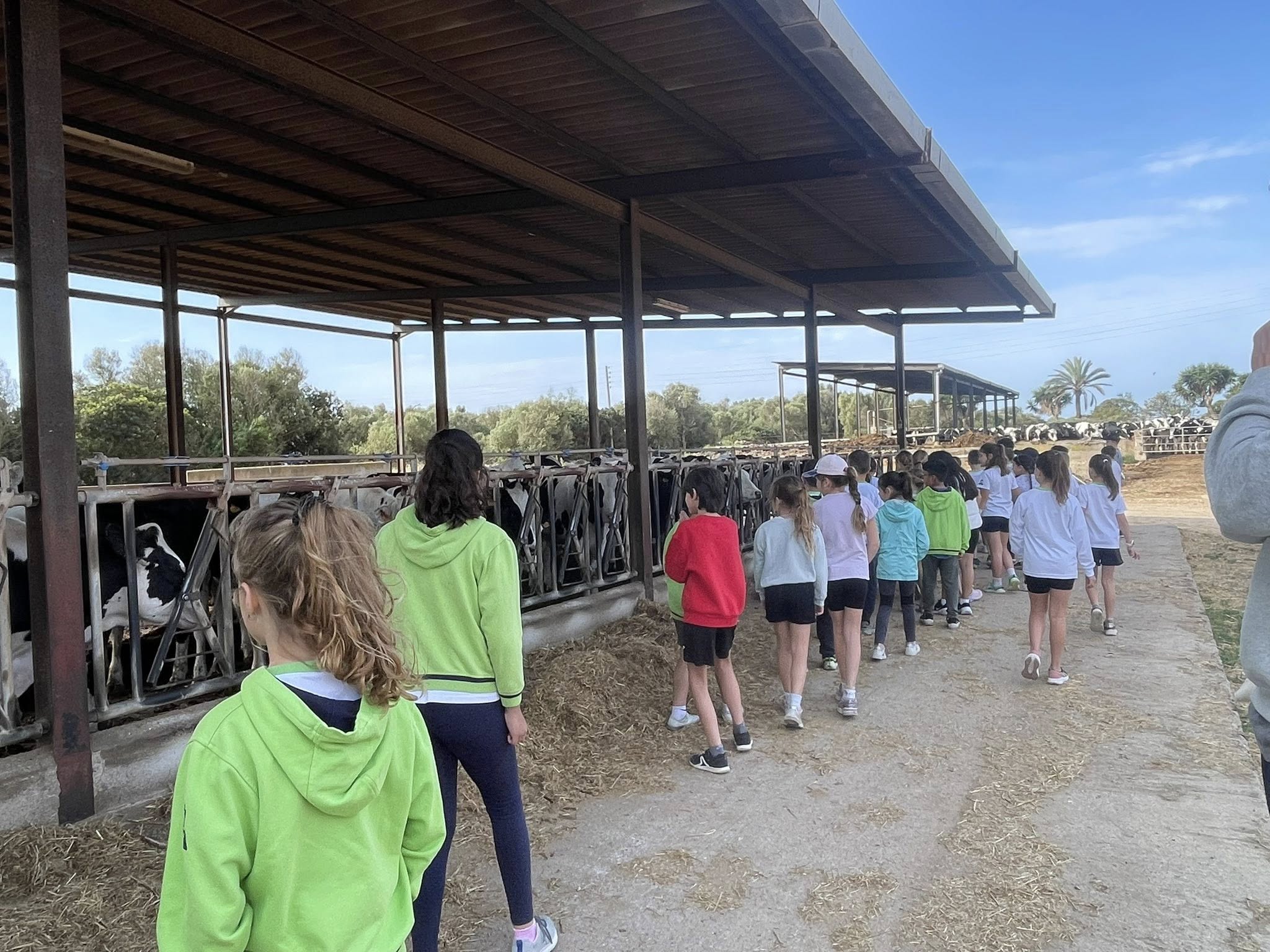 El projecte #CamposPagès acosta el món de la pagesia als estudiants de Primària de Campos