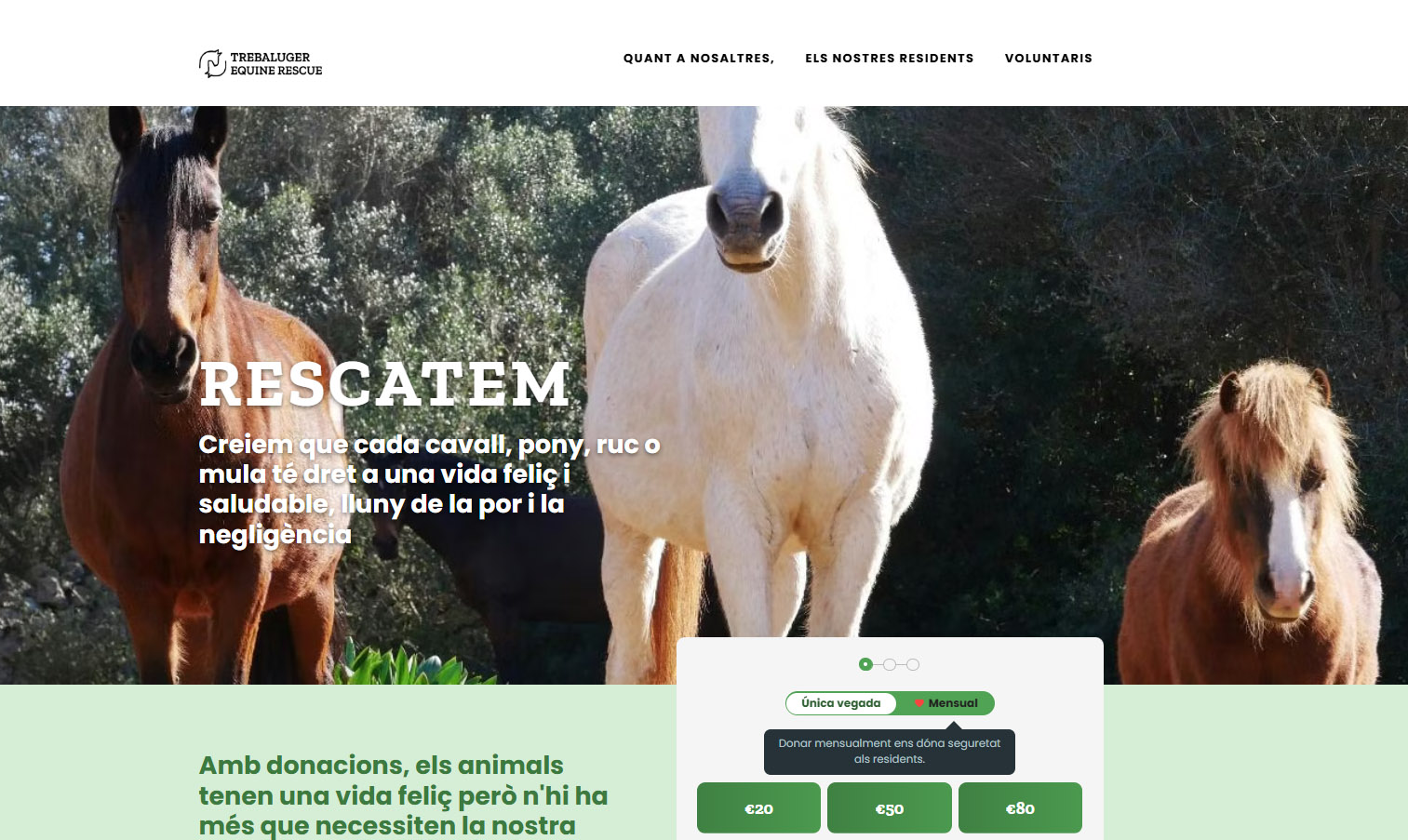 El Consell de Menorca signa un conveni per a la protecció dels equins