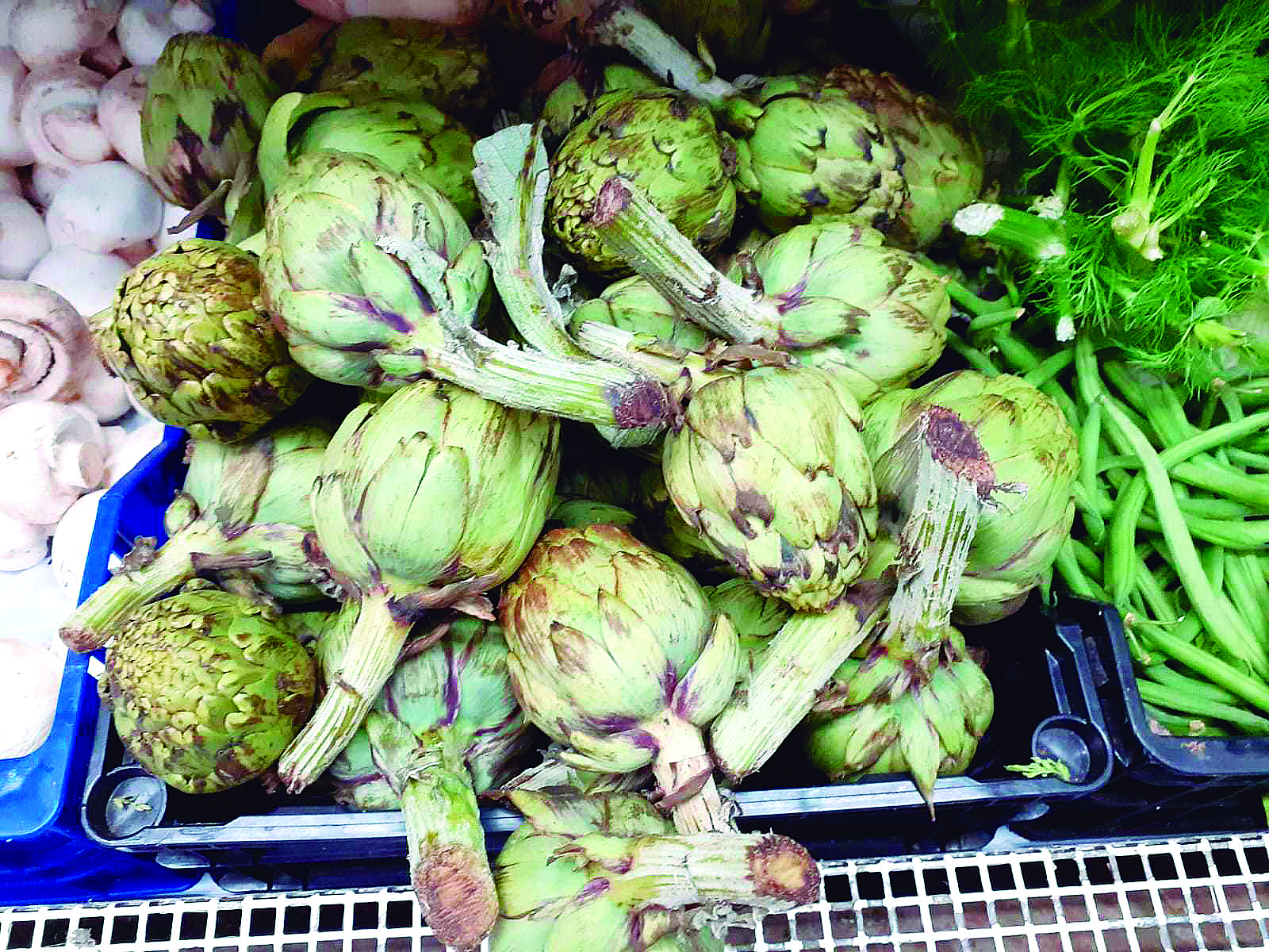 Carxofa, la reina de l'hivern