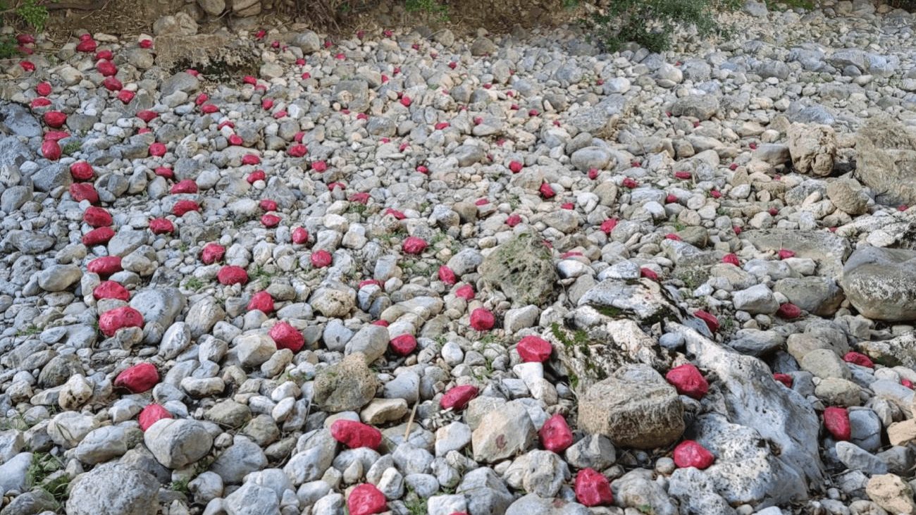El transport de sediments als torrents es concentra en pocs episodis molt intensos, com la tempesta Juliette