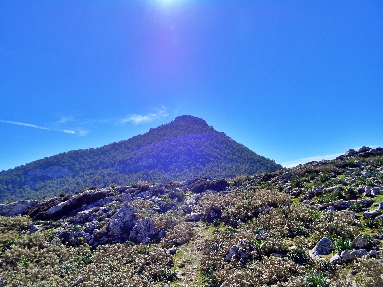 Puig de Lofra