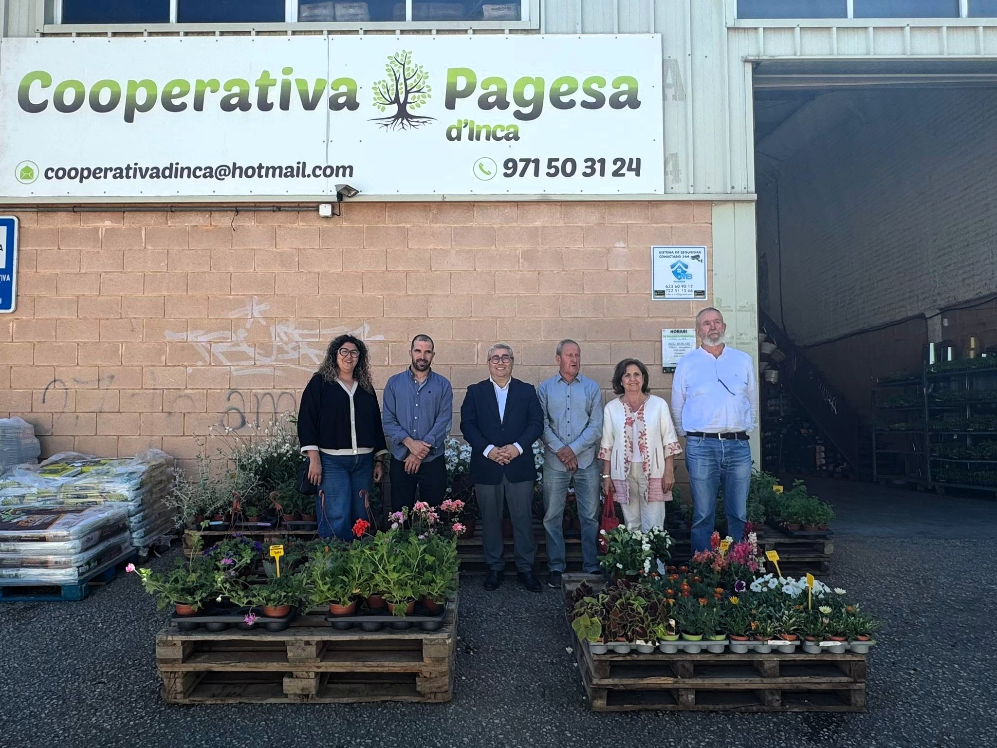L’Ajuntament d’Inca i la Cooperativa Pagesa d’Inca han renovat el conveni de col·laboració que manté el suport municipal a l’entitat agrària. L’acord preveu una subvenció nominativa de 40.000 euros destinada a impulsar diferents actuacions de modernització i millora de les instal·lacions de la cooperativa. L’aportació econòmica permetrà finançar parcialment la instal·lació d’un sistema d’energia solar fotovoltaica per a autoconsum, així com diverses actuacions de tancament i adequació de la zona de botiga i d’altres espais annexos. Des del consistori destaquen que aquesta línia de suport s’emmarca dins l’estratègia municipal de foment del desenvolupament econòmic local i de suport al sector agrari. El batle d’Inca ha remarcat que la Cooperativa Pagesa és “una entitat de referència” per al municipi i ha assegurat que el conveni contribueix tant a la modernització de les instal·lacions com a avançar cap a un model “més sostenible i eficient energèticament”. Per part seva, responsables de la cooperativa han valorat positivament el suport institucional rebut, que consideren clau per continuar millorant el servei que ofereixen als socis i clients. L’Ajuntament d’Inca manté així la seva aposta per impulsar projectes vinculats a la sostenibilitat, la transició energètica i el reforç del sector primari local.