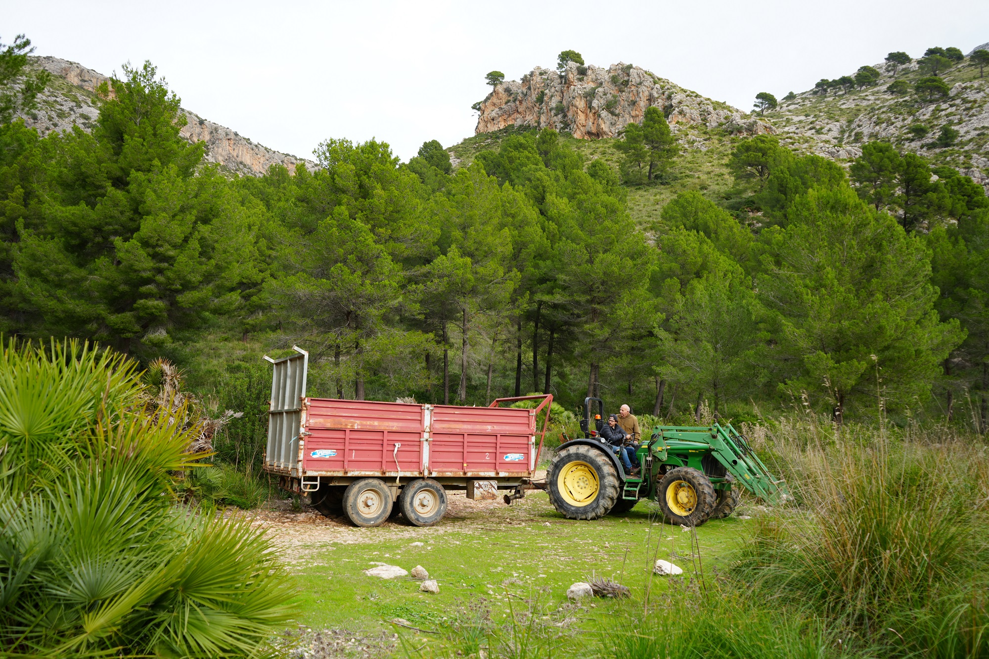 Calvià destina 70.000 euros en ajudes per impulsar el sector agrari i ramader
