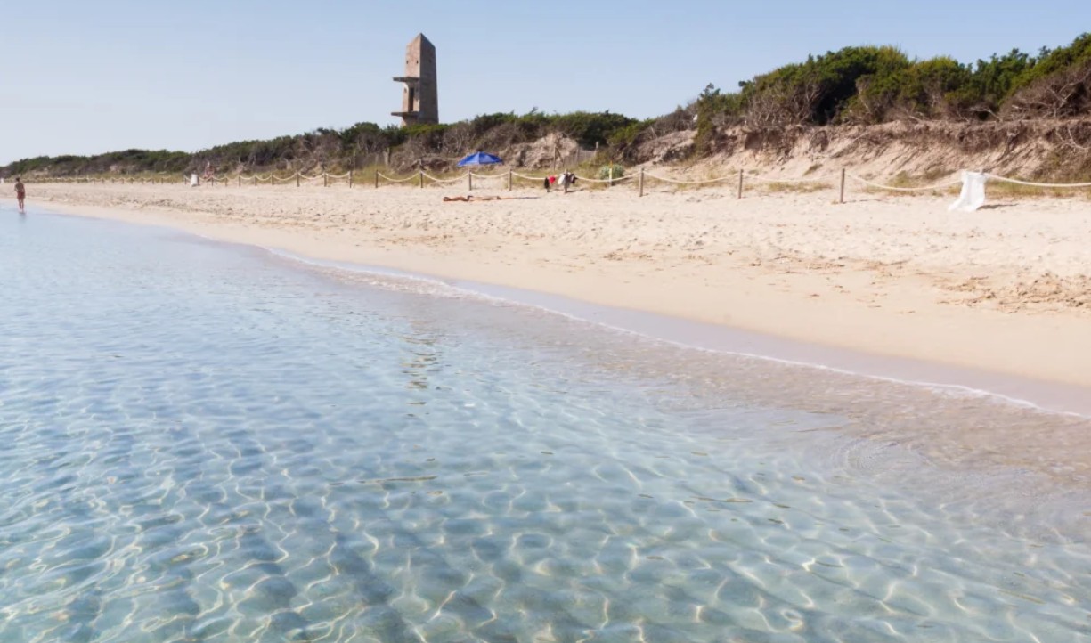 El Govern activa la tramitació dels darrers plans de gestió de la Xarxa Natura 2000 a les Illes Balears