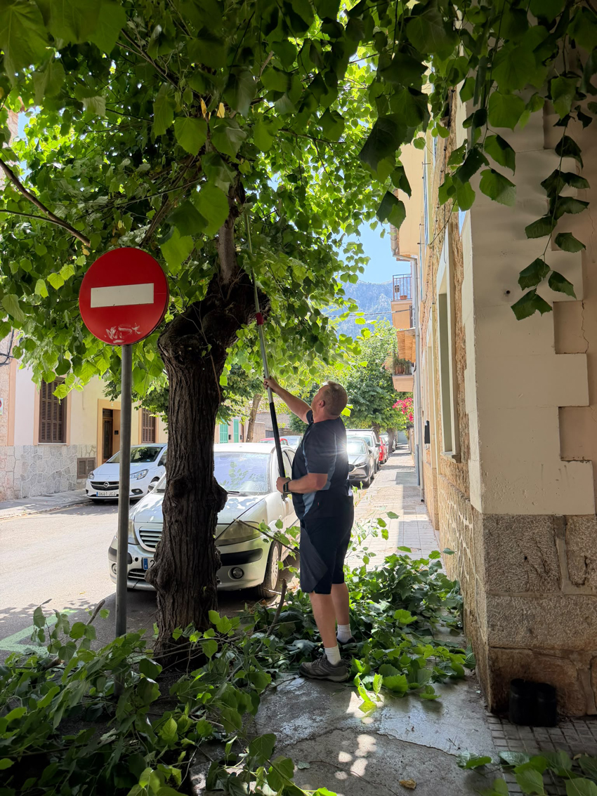 Sóller inicia una campanya de poda urbana per millorar la seguretat i el manteniment de l’espai públic