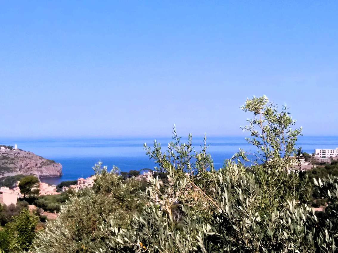 L'Alzinar: Sóller, el nou Carib