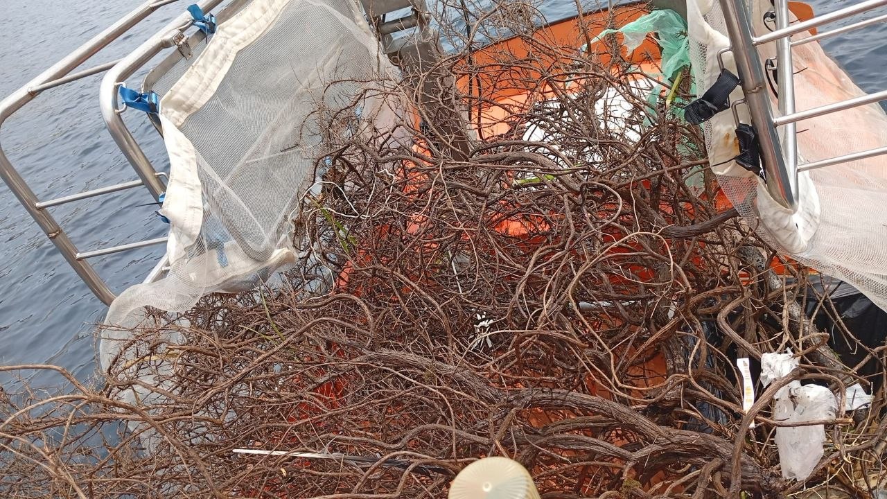 El servei de neteja del litoral retira propo de 8 tones de residus de la mar el mes de juny
