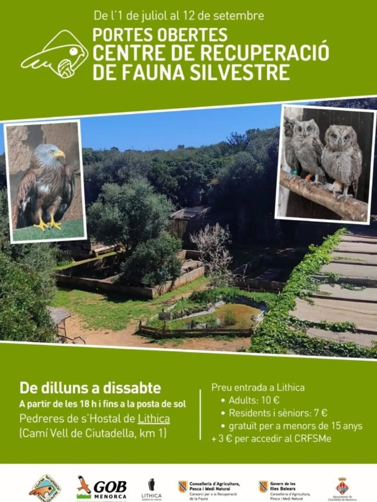 El Centre de Recuperació de Fauna Silvestre de Menorca obri al públic durant l’estiu