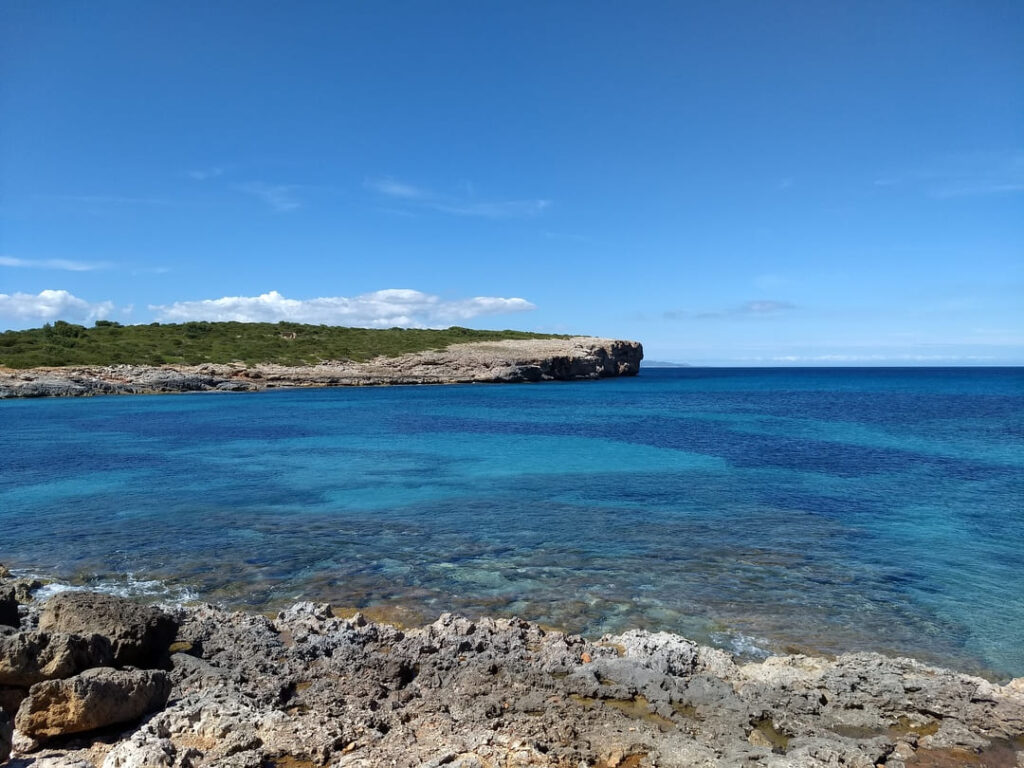 Científics i entitats demanam protegir les zones marines poc profundes, essencials per a la biodiversitat de les Balears