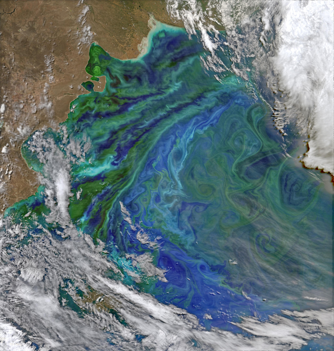 Un estudi de l'IMEDEA constata l'augment de les onades de calor marines al nord de la Plataforma Patagònica