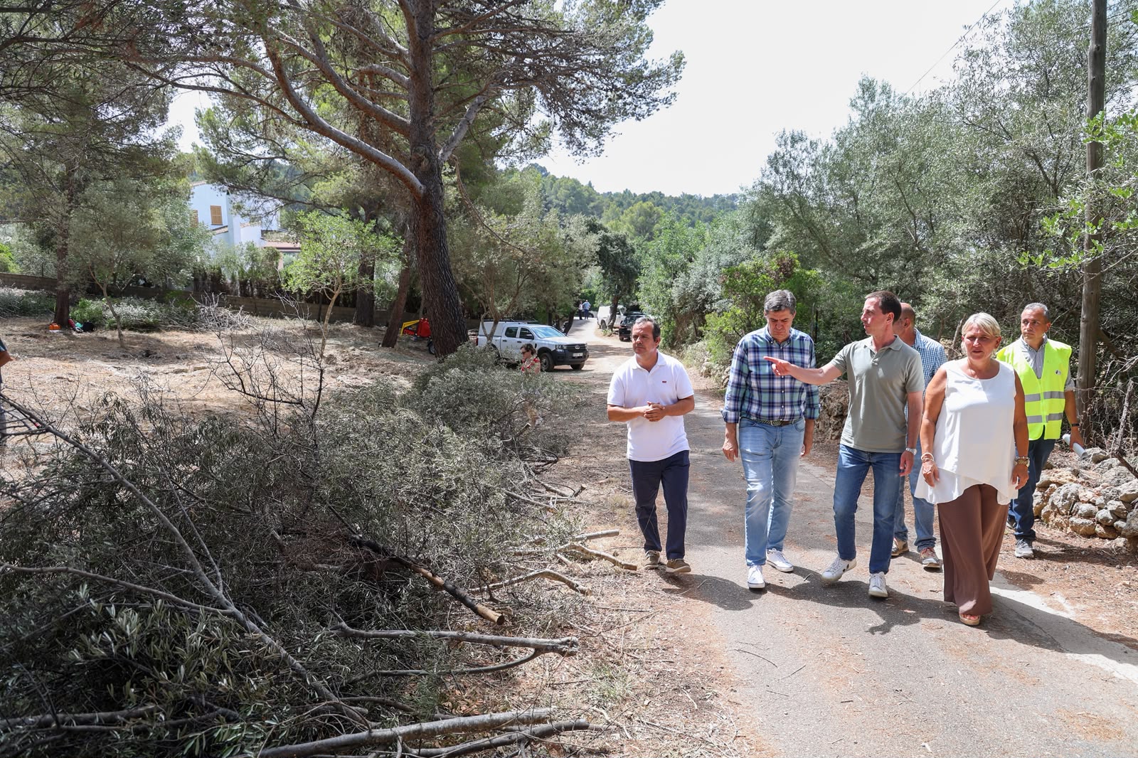 Sanejament forestal a la Tramuntana per reduir el risc d'incendis