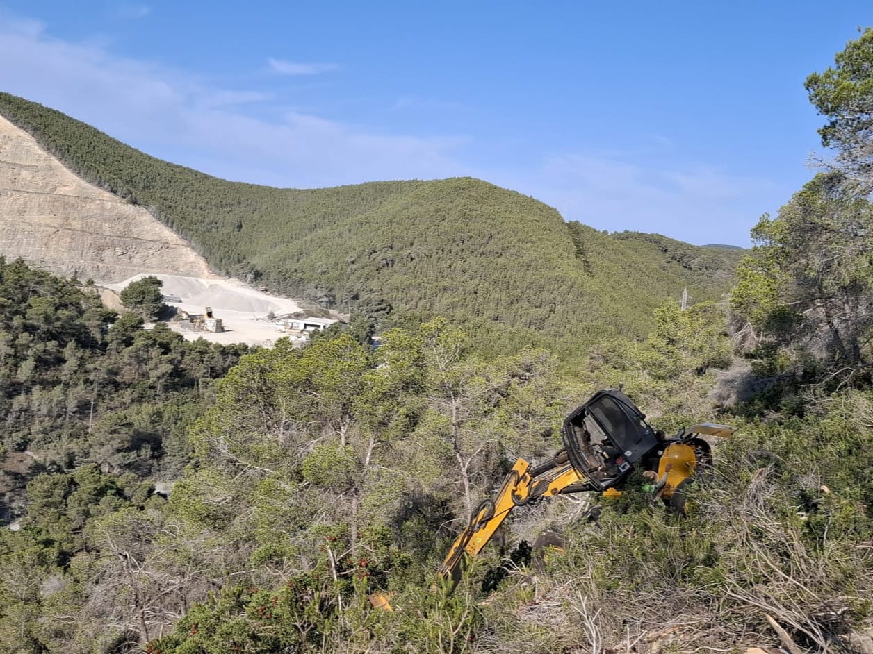 El Govern intervé en 134 hectàrees forestals per reforçar la prevenció d’incendis