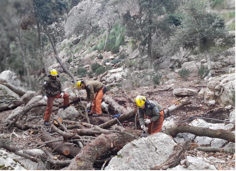 Un milió d’euros més per reforçar la prevenció d’incendis forestals amb neteges de camins i punts d'aigua