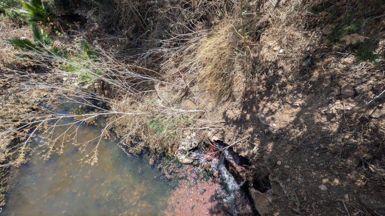 El GOB demana investigar l’origen de la contaminació de l’aigua de Son Saletes