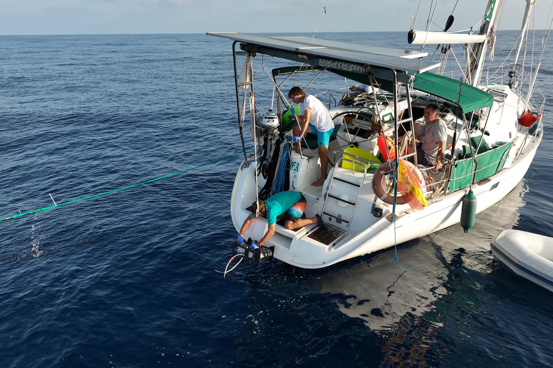 L’ADN de l’aigua confirma l’escassetat de grans taurons a la mar Balear