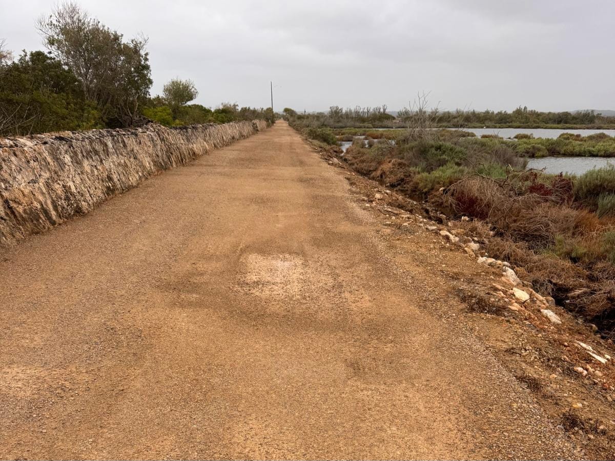 Les obres a diversos camins de s'Albufera obliguen a tancar-lo dues setmanes