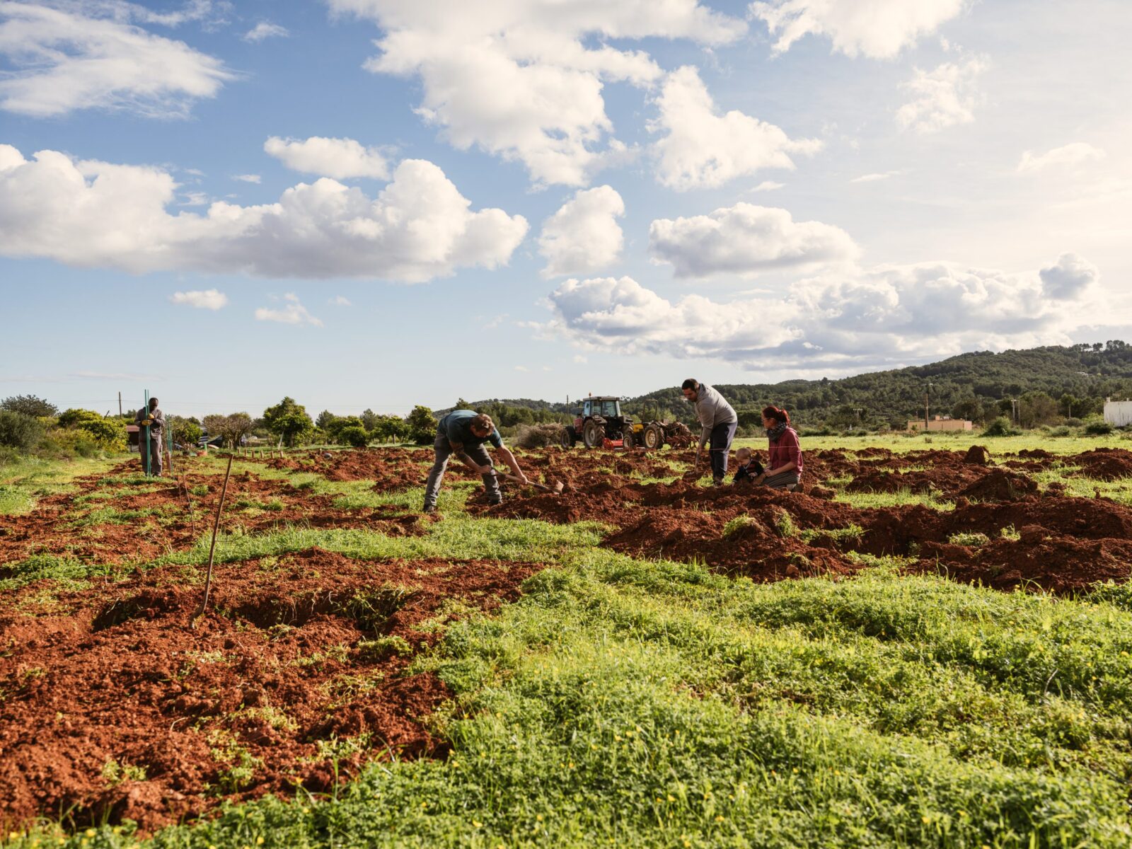 L’agricultura ecològica d’Eivissa duplica superfície en cinc anys i ja representa el 20,4%