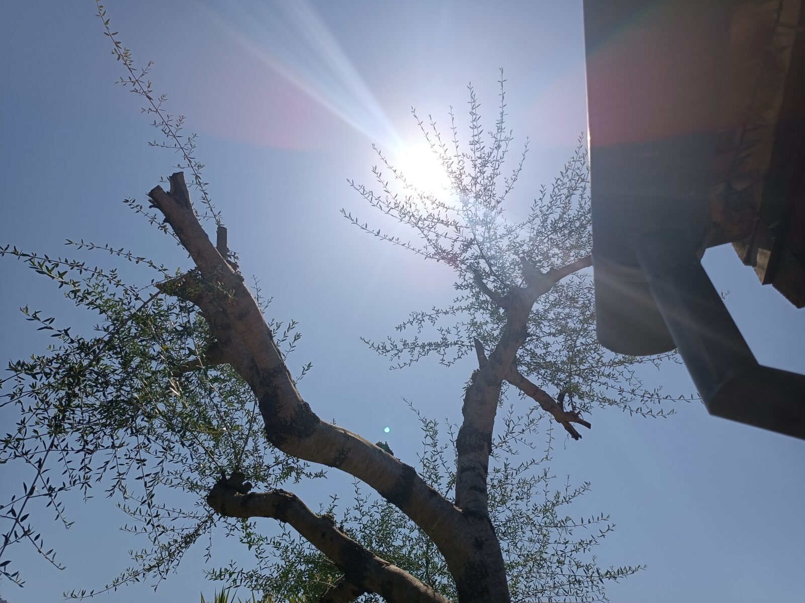 Agost de rècord a les Balears: la calor més extrema des de 1961 i un 55% menys de pluja
