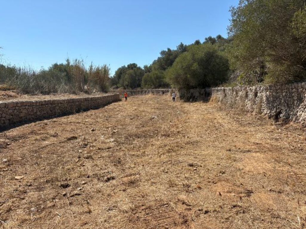 El Govern actua en torrents de Mallorca, Menorca i Eivissa per millorar-ne el seu estat