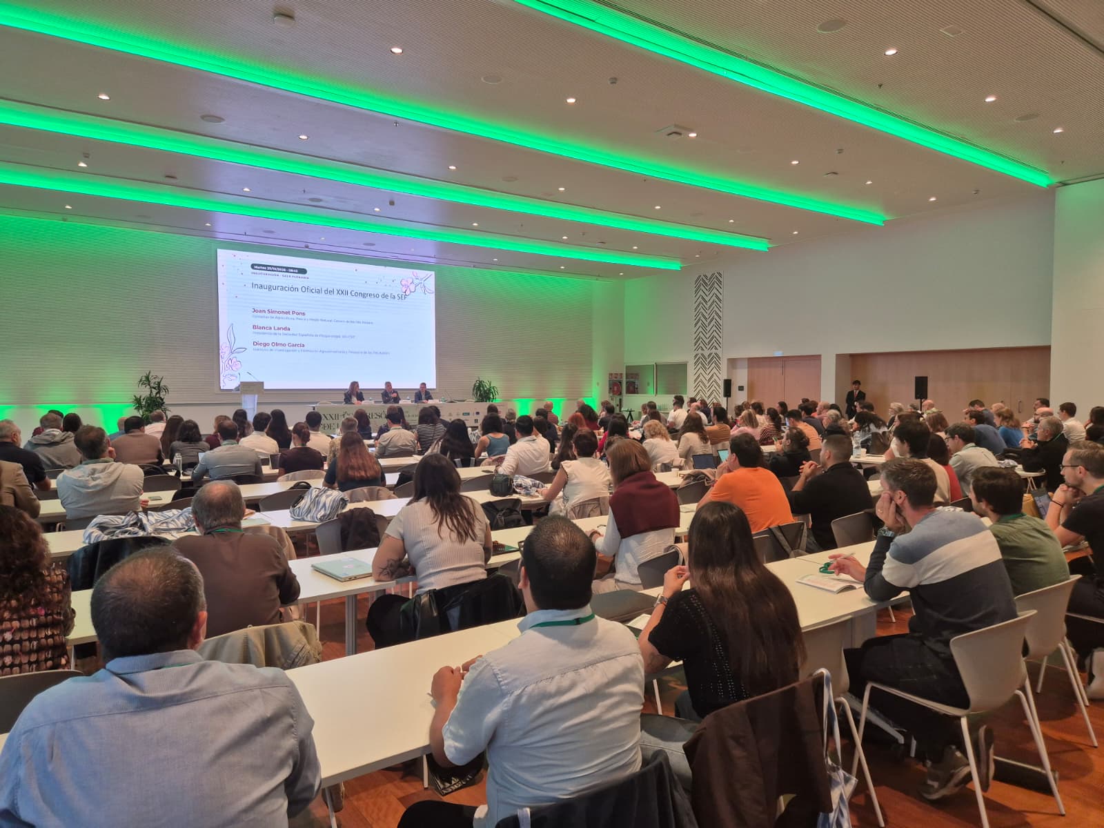 Un congrés sobre la Xylella reuneix 300 especialistes deu anys després de la seva entrada a Mallorca
