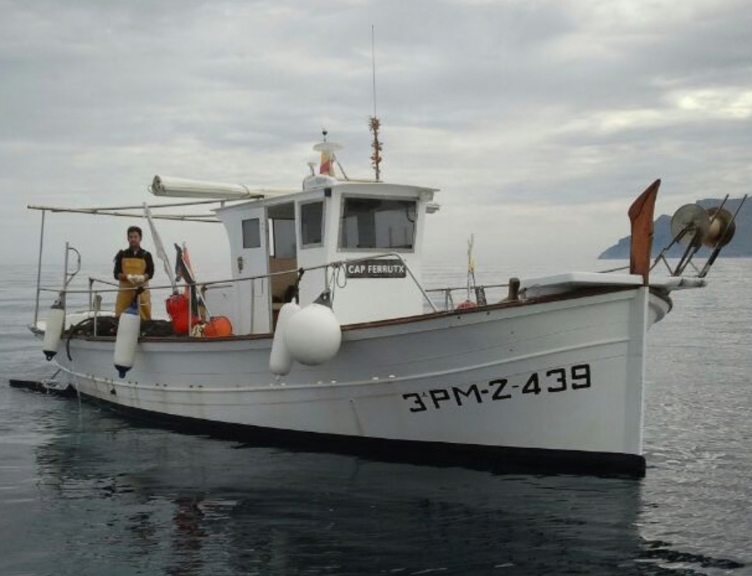 Les badies de Pollença i Alcúdia redueixen l’esforç pesquer amb un nou pla de gestió