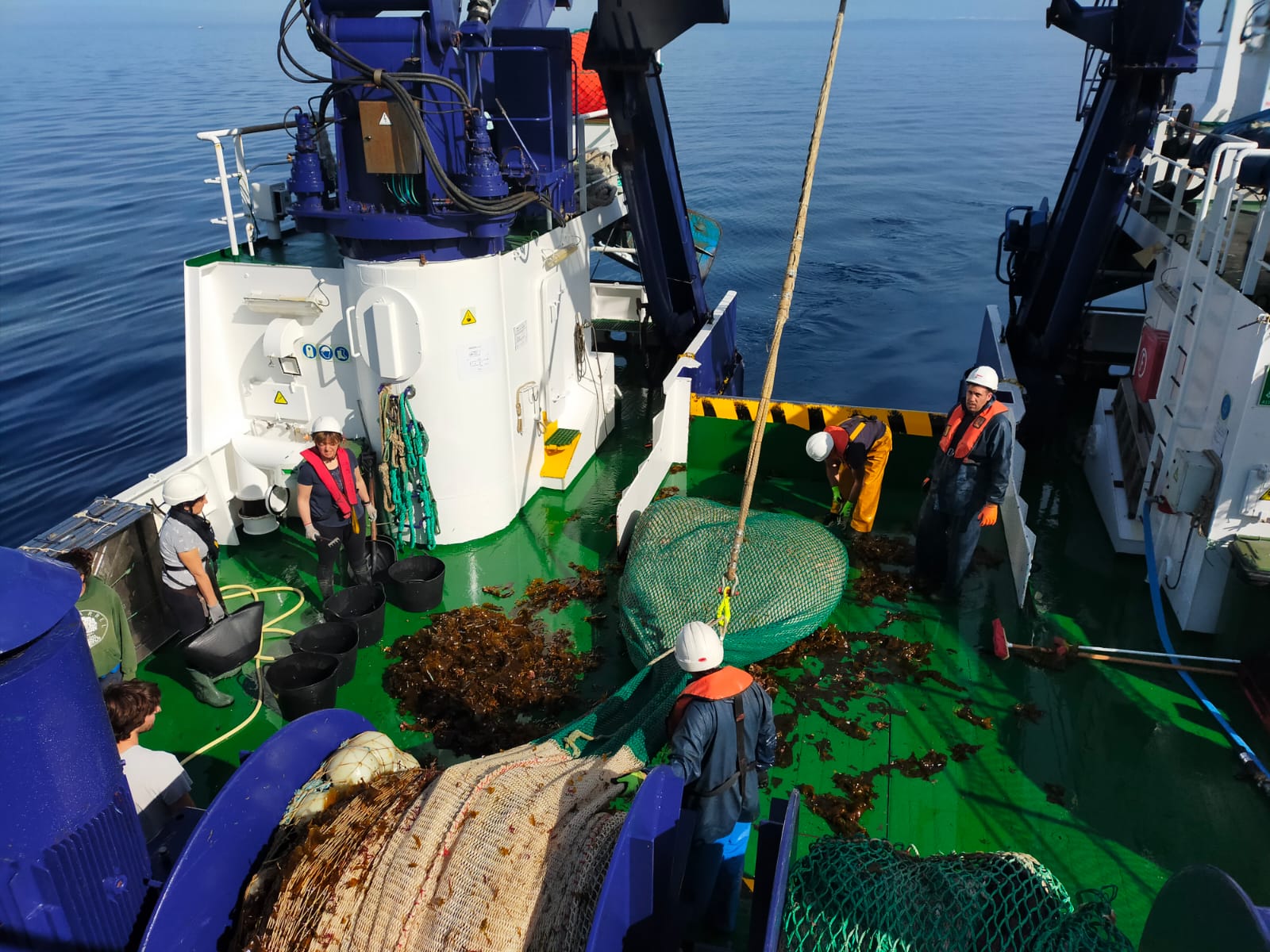 La protecció pesquera del Canal de Menorca afavoreix la diversitat genètica de quatre espècies marines